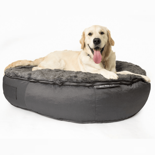 8 Benefits of a Waterproof Dog Bed - Bean Bags R Us