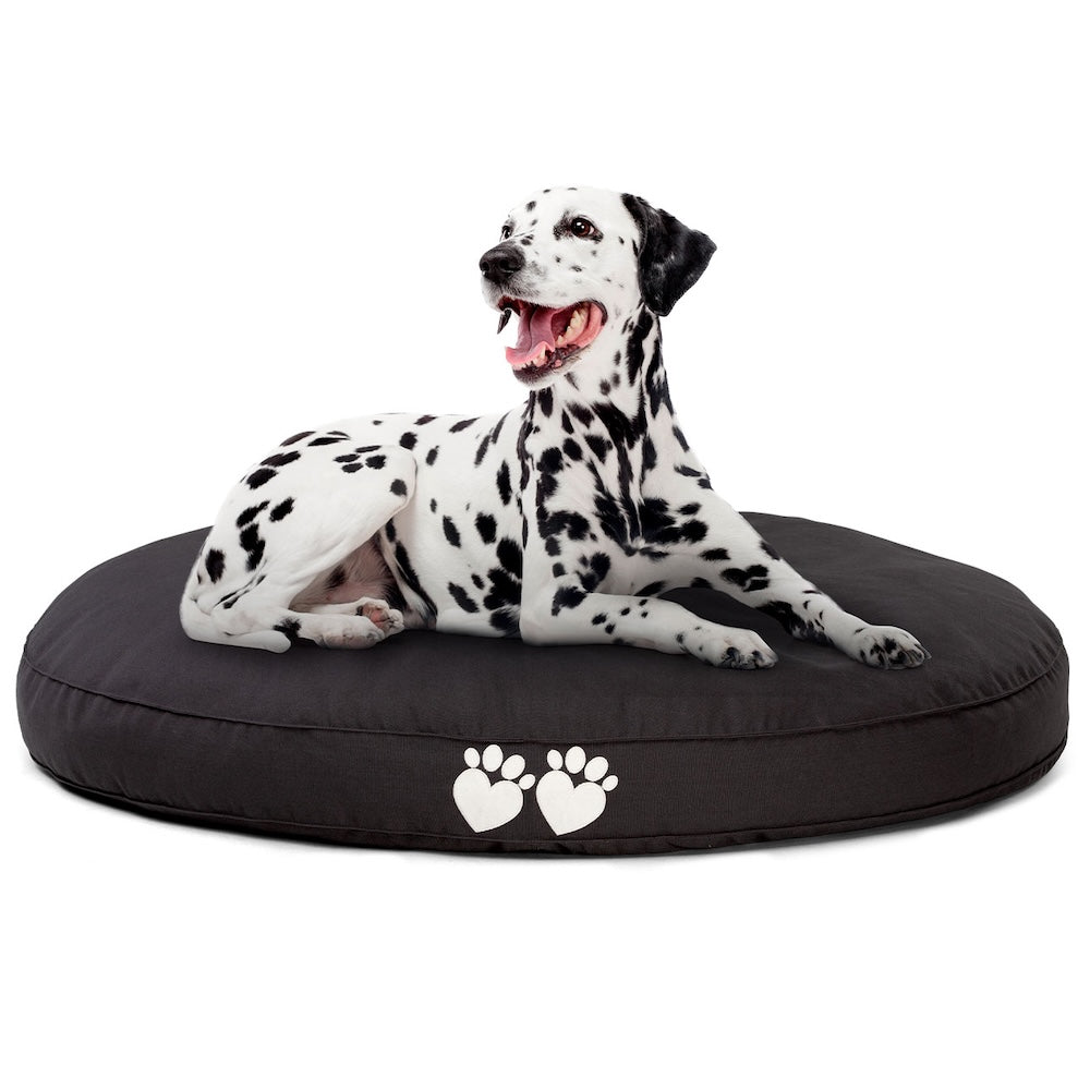 Best Dog Beds for Arthritis