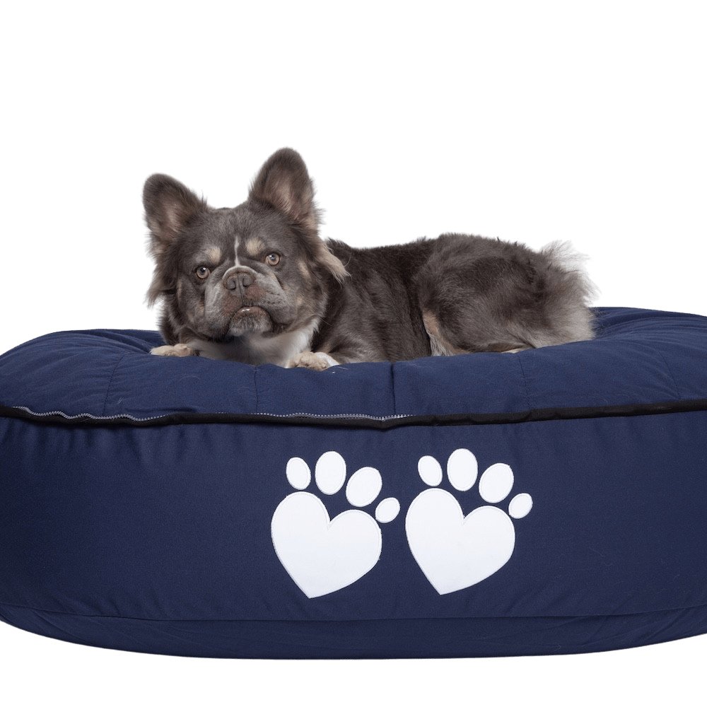 What are the Benefits of Raised Dog Beds? - Bean Bags R Us