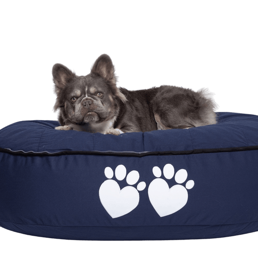 What are the Benefits of Raised Dog Beds? - Bean Bags R Us