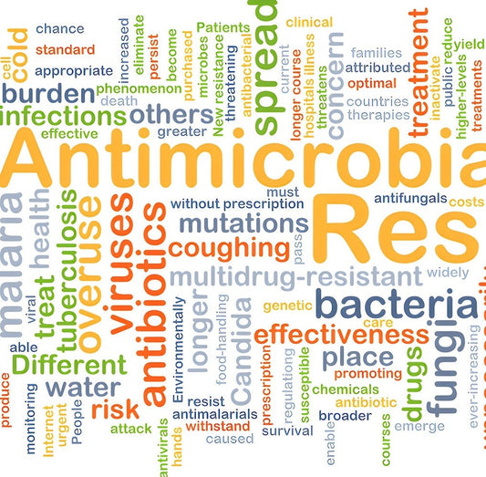 What Is Antimicrobial Treatment and Why Is It So Important? - Bean Bags R Us