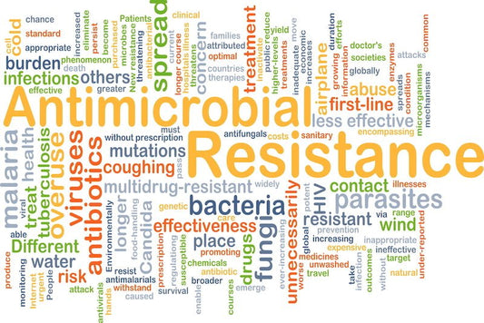 What Is Antimicrobial Treatment and Why Is It So Important? - Bean Bags R Us